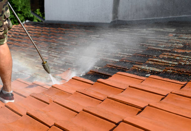 Best Exterior Home Cleaning  in Hillsboro, MO