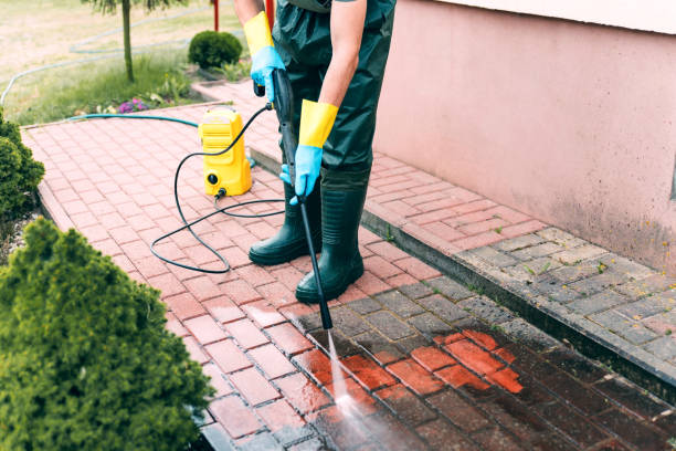 Best Roof Power Washing Services  in Hillsboro, MO