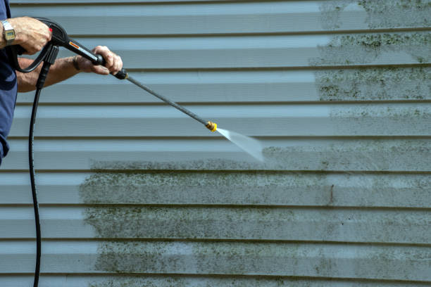 Professional Pressure Washing in Hillsboro, MO