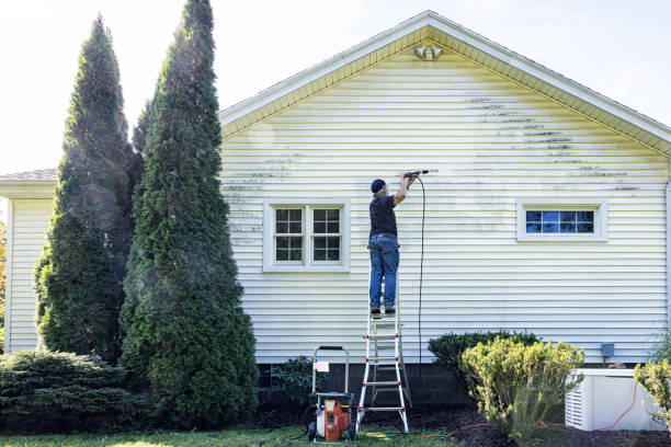 Best Roof Pressure Washing  in Hillsboro, MO