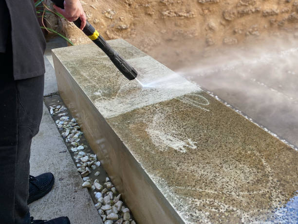 Best Roof Pressure Washing  in Hillsboro, MO