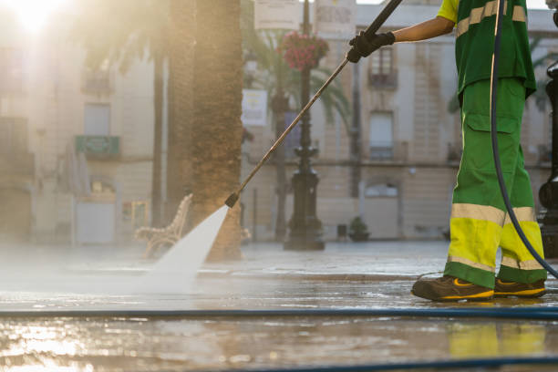Best Exterior Home Cleaning  in Hillsboro, MO